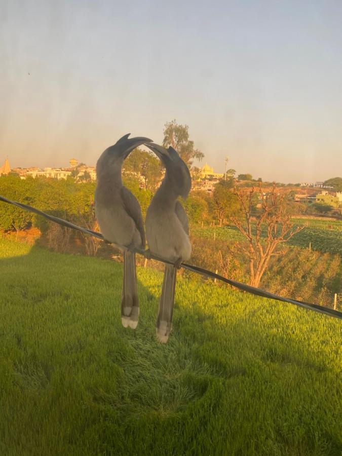 The Natural View Pushkar Bagian luar foto